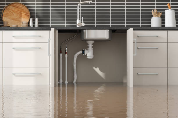 Best Water damage restoration mold remediation  in Rochester, NH