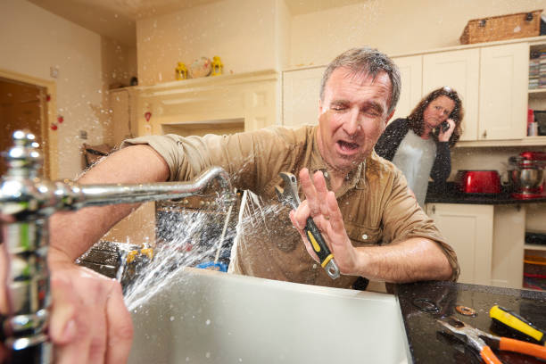 Best Mold removal after water damage  in Rochester, NH